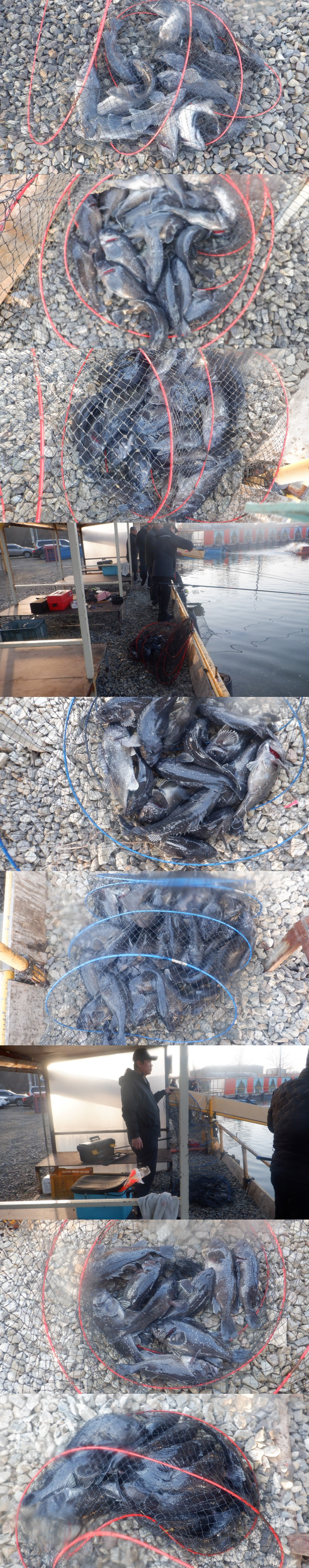 1d712d45e17c16c34e7c170b796e760a_1772243