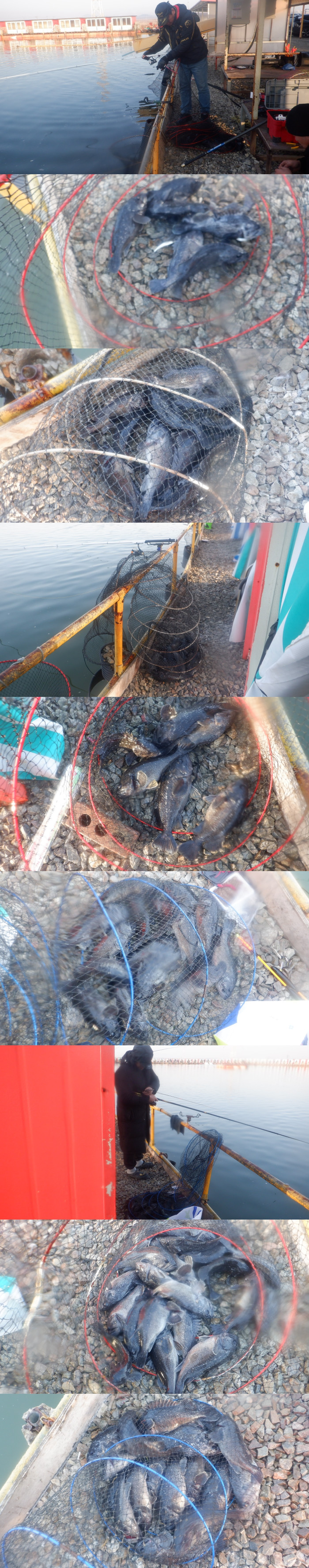 1d712d45e17c16c34e7c170b796e760a_1772243