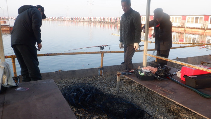 1d712d45e17c16c34e7c170b796e760a_1772243