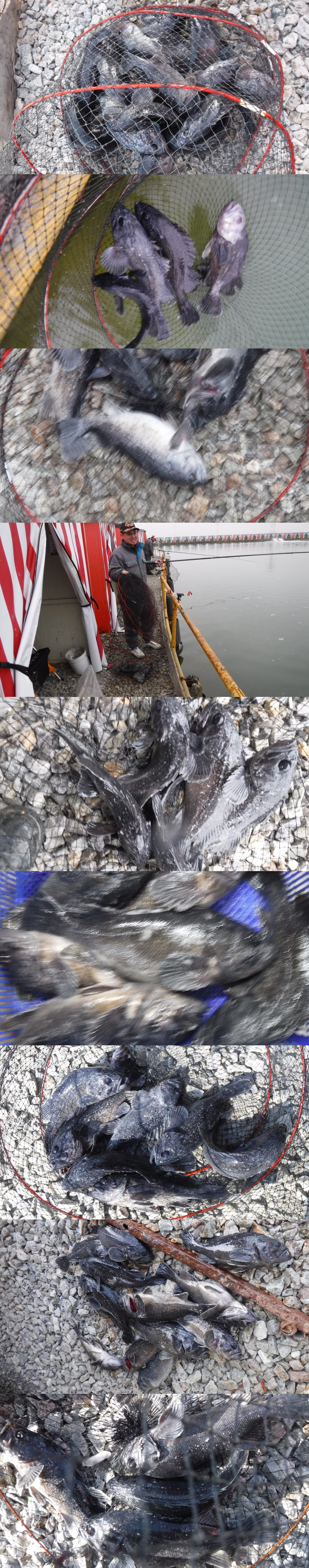 3857ef4fb1124a065d3427cb64441dd3_1771141