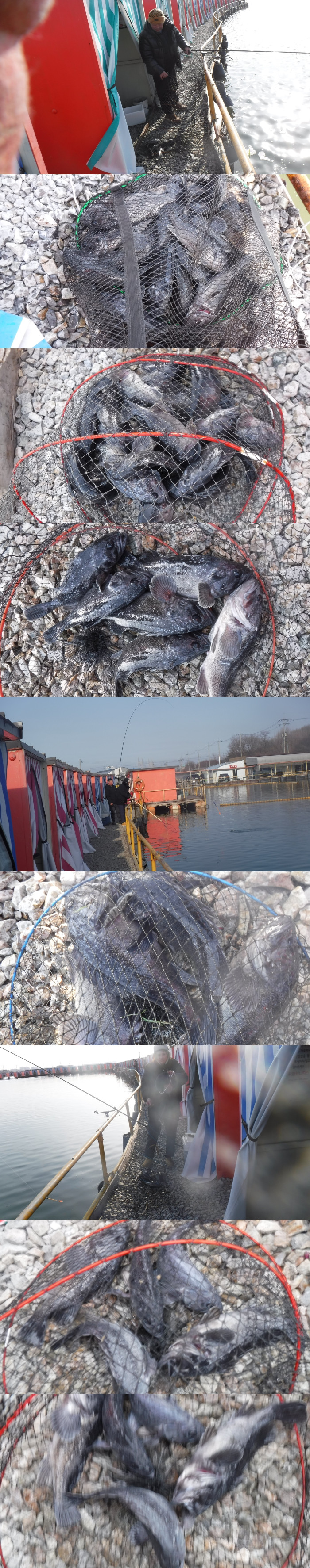 3857ef4fb1124a065d3427cb64441dd3_1771141