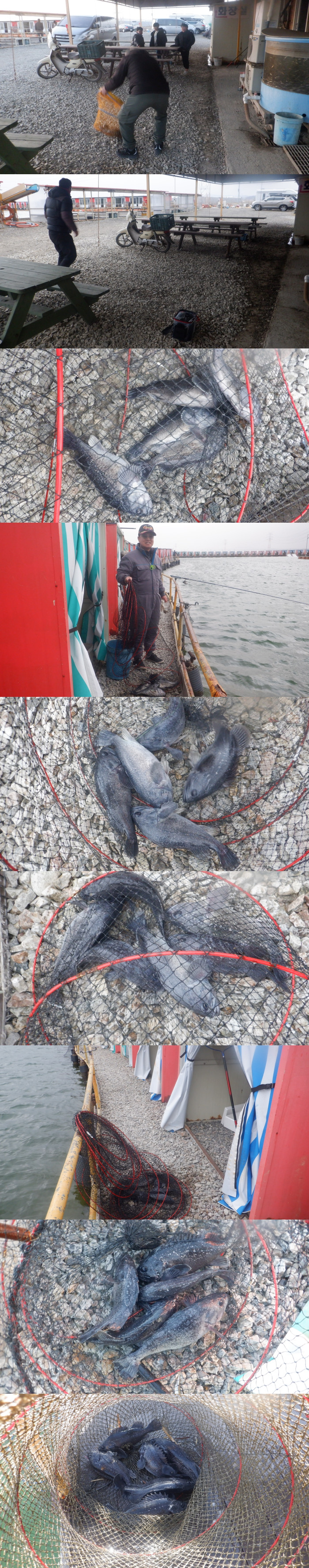 62a49260dfa8863009e3ecb18bbd5c48_1771752