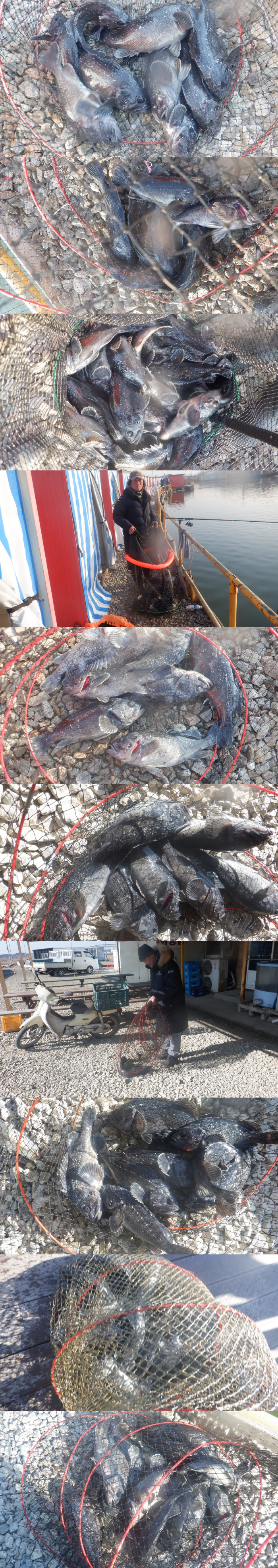 b945cc1a746f64e7c54c9550f482a7b9_1771400