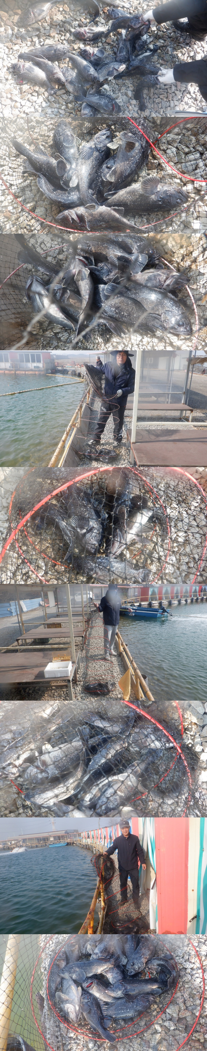 b945cc1a746f64e7c54c9550f482a7b9_1771574