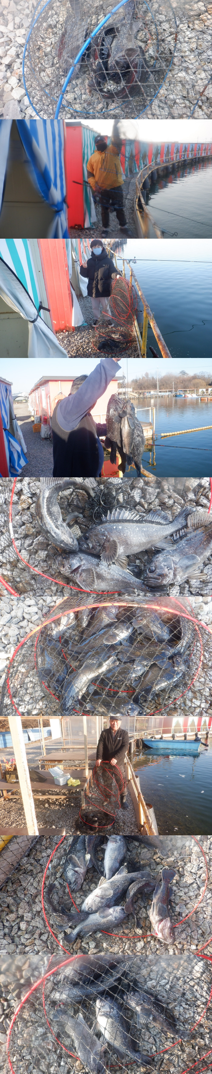 b945cc1a746f64e7c54c9550f482a7b9_1771574