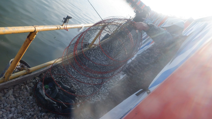 f18bb4dca107f78215ff50678a3c5eef_1771228