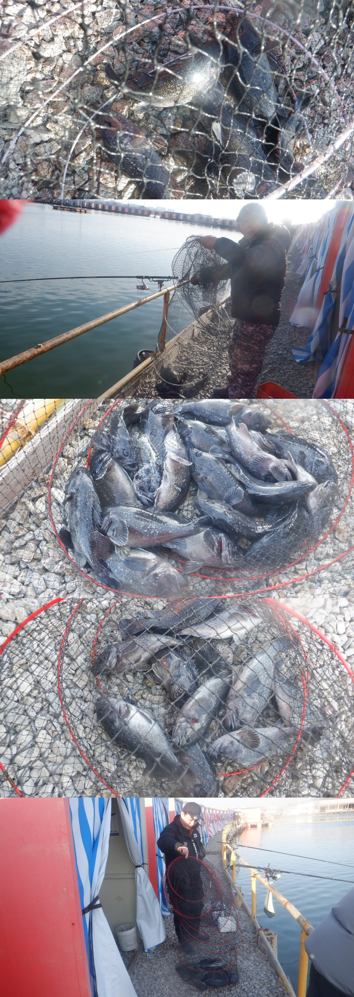 f18bb4dca107f78215ff50678a3c5eef_1771228