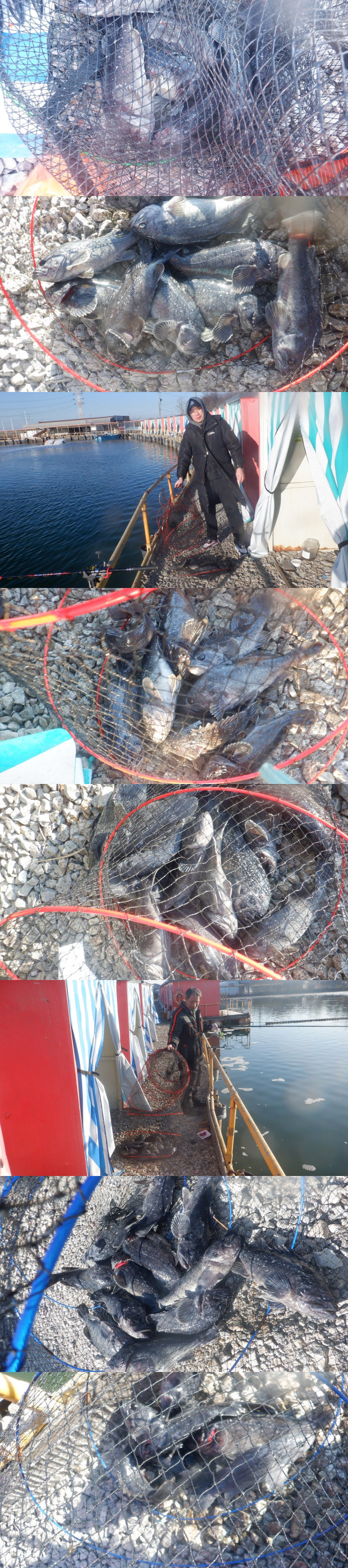 f18bb4dca107f78215ff50678a3c5eef_1771315