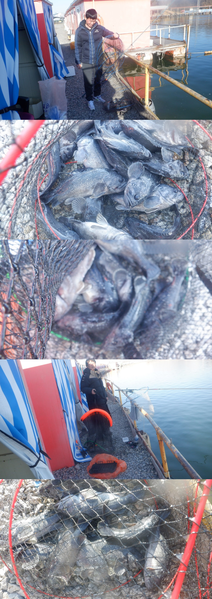 f18bb4dca107f78215ff50678a3c5eef_1771315