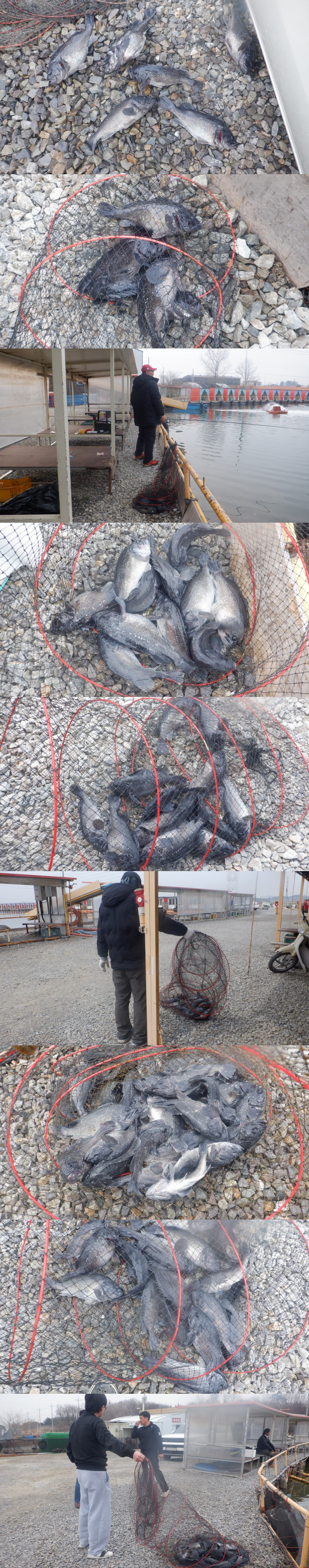 253ac75f85e081df9c634bea3f7612dc_1774941