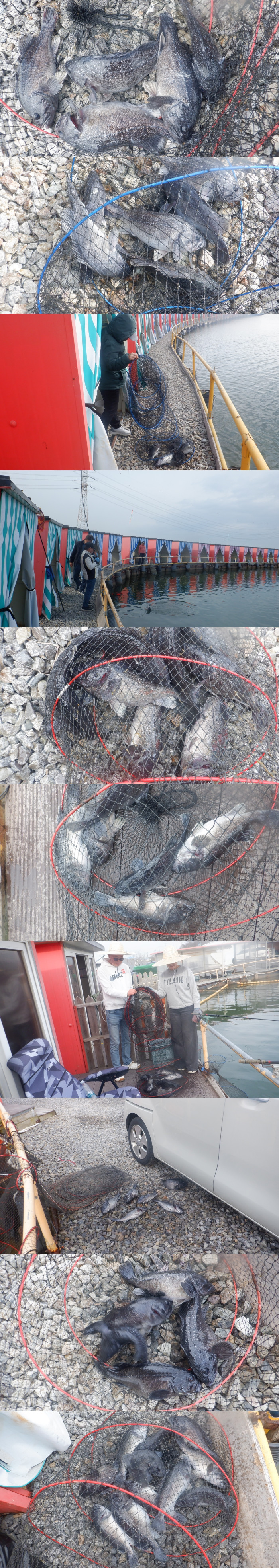 253ac75f85e081df9c634bea3f7612dc_1774941