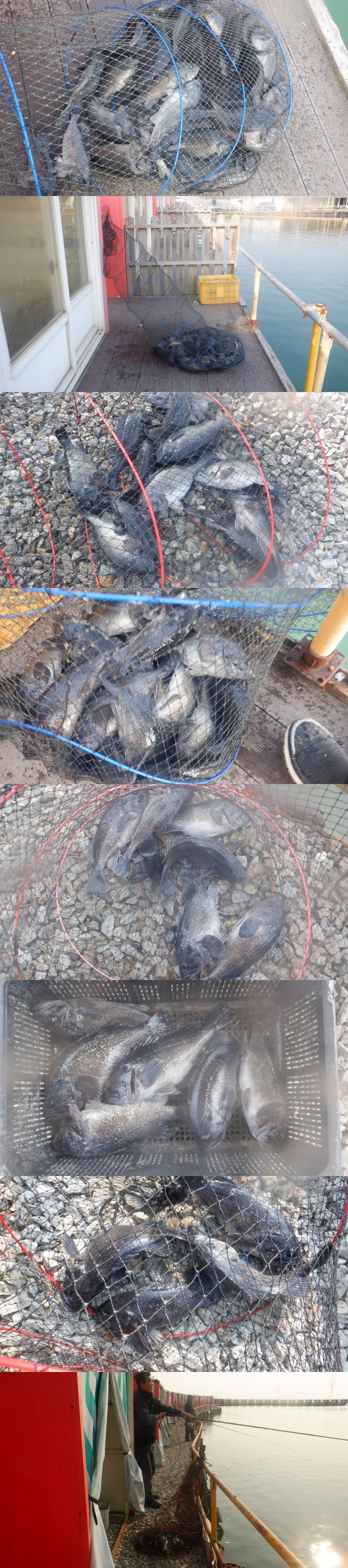 42107f037230d95a8712b2492cd4e9a6_1773304