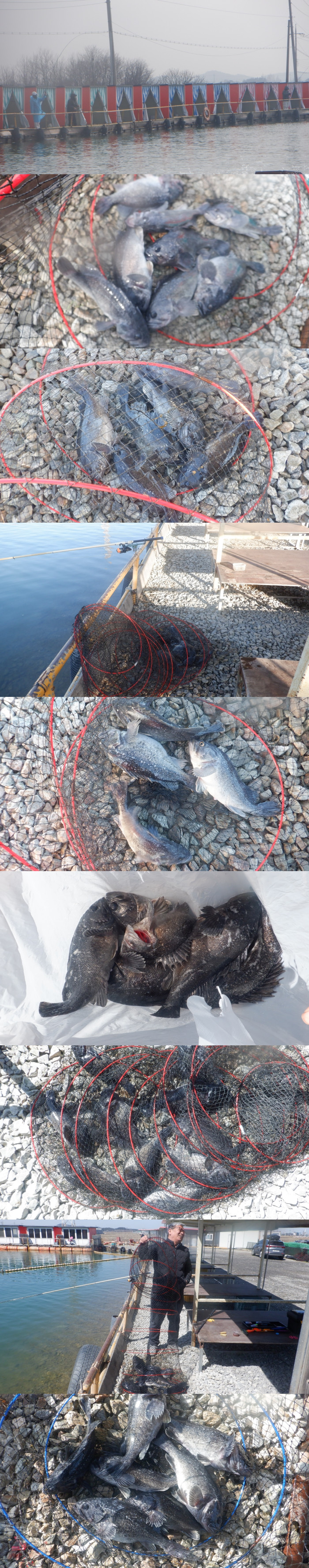 4a91ae3e2842a56d01eede9ac7369818_1773905