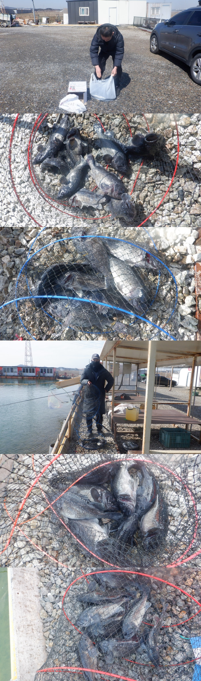 4a91ae3e2842a56d01eede9ac7369818_1773905