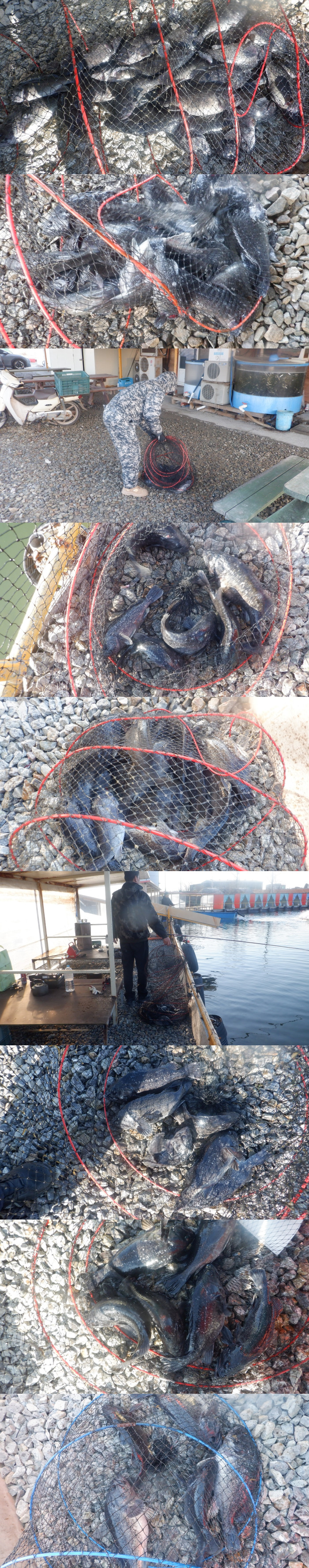 5b664bb62547616174c332515cfb9124_1772875