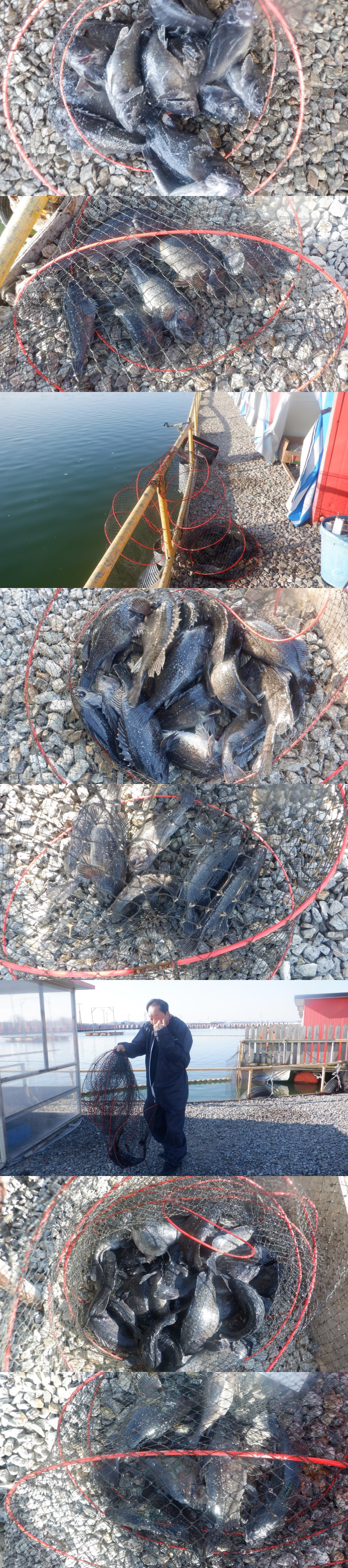 5b664bb62547616174c332515cfb9124_1772875