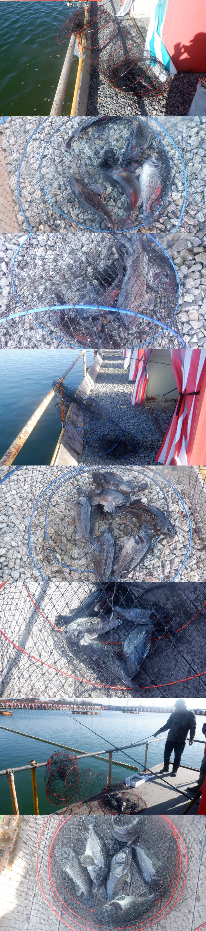 5b664bb62547616174c332515cfb9124_1772875