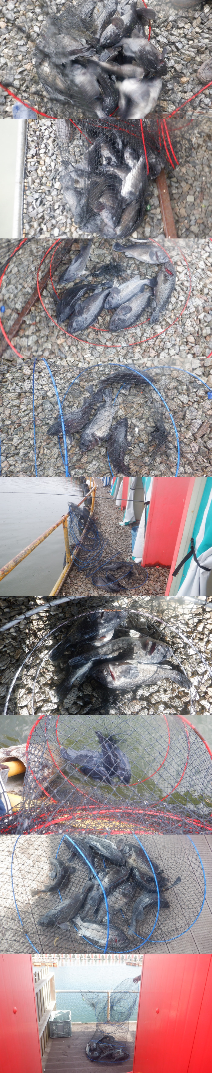 89141338ee3f68d35b320d4491099339_1772529