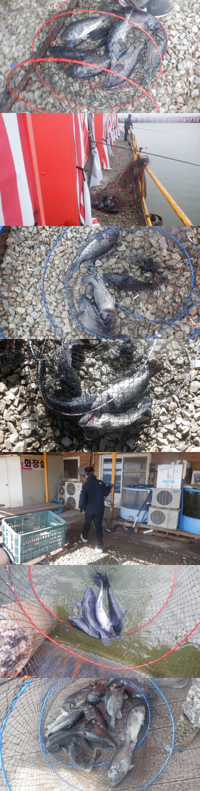 89141338ee3f68d35b320d4491099339_1772529