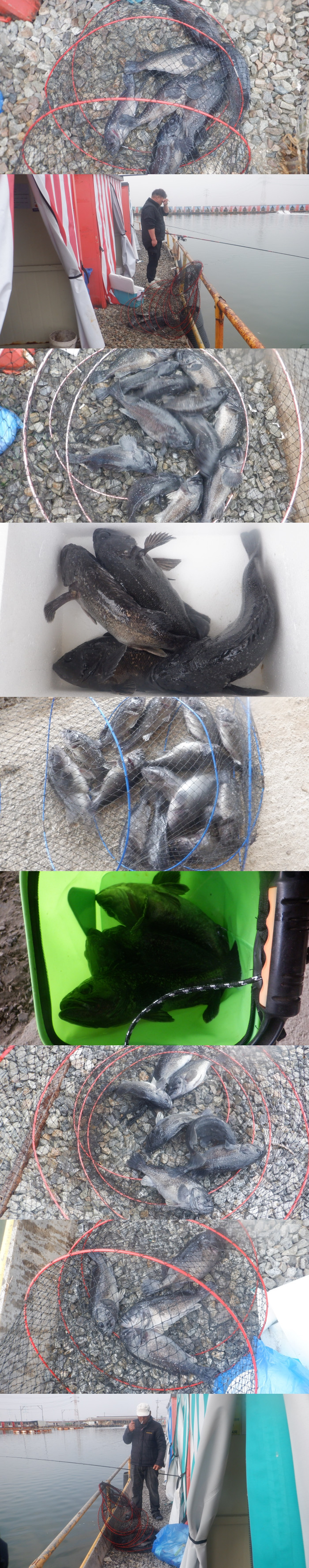 b933cbc615771bed70e12810555aa4fd_1773565