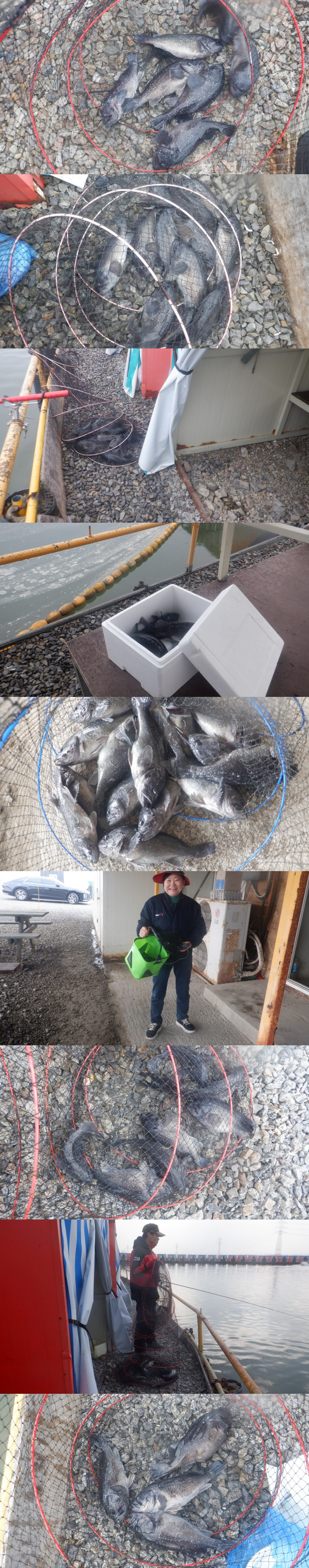 b933cbc615771bed70e12810555aa4fd_1773565