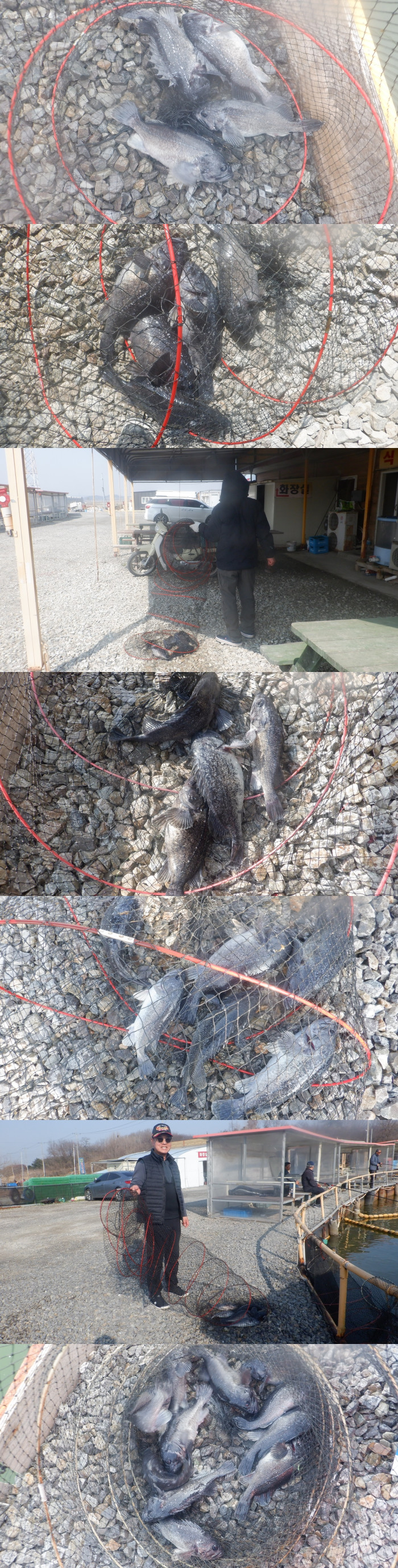 cd16e95a1df8e6e4189501252322f1f5_1774511