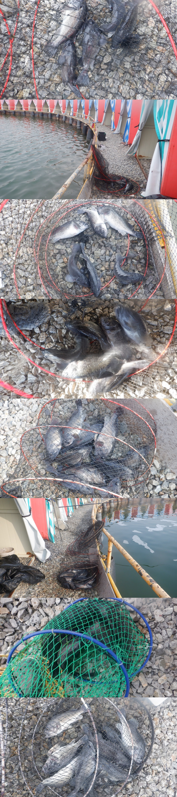 cd7153b8d9cf7f4f48508ac935dd284b_1774771