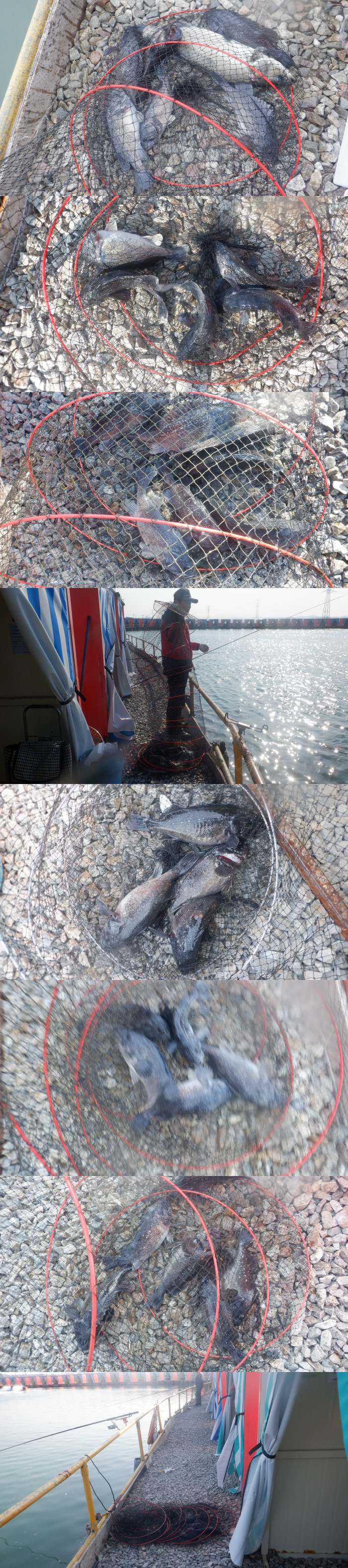 ecea6f3d6b8c0adc67f68691c087e499_1774172