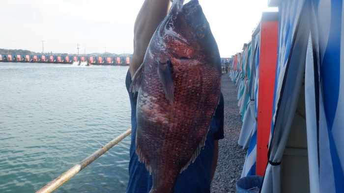 06eeae79b52b309d486460cb7491639f_1777103