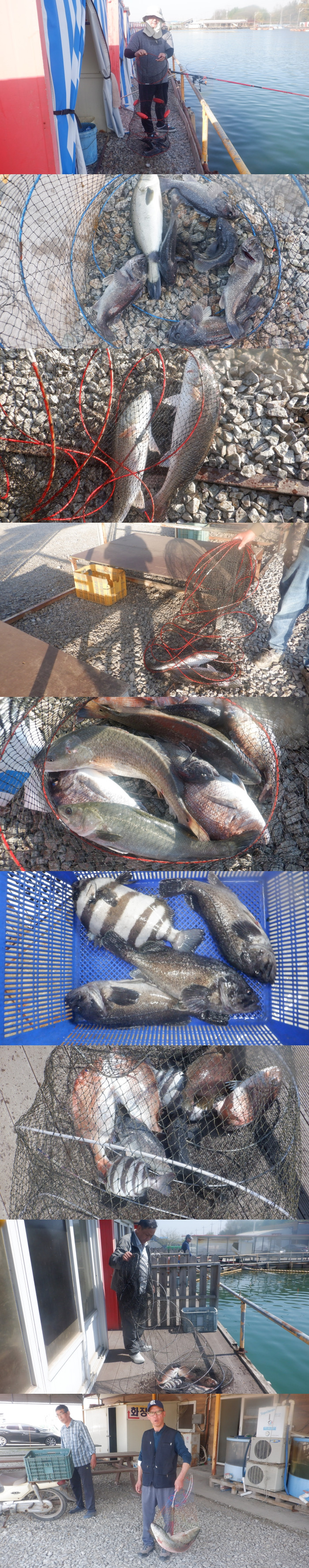 06eeae79b52b309d486460cb7491639f_1777103