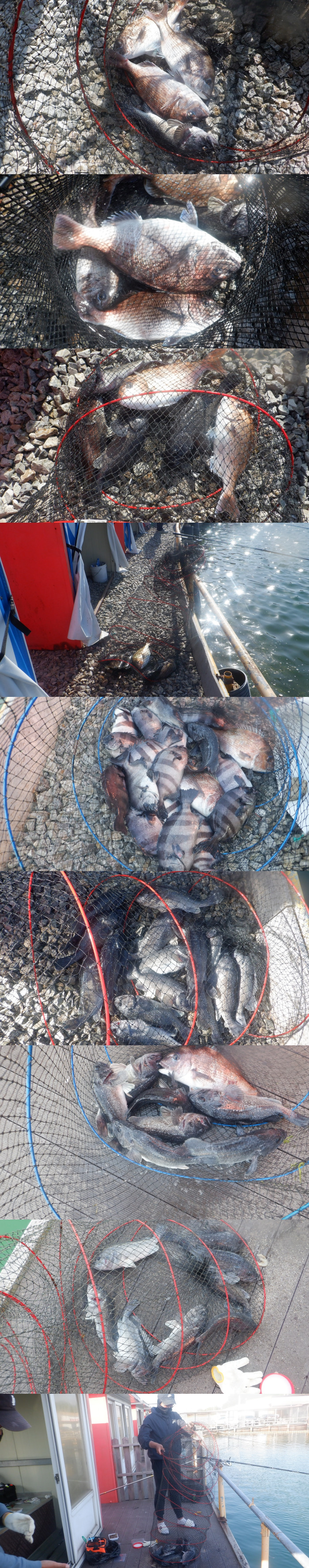 06eeae79b52b309d486460cb7491639f_1777103