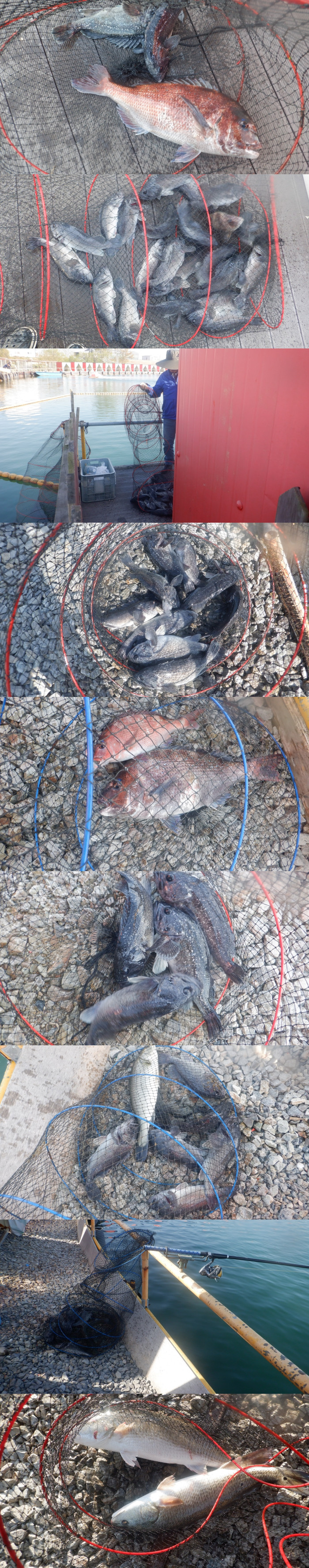 06eeae79b52b309d486460cb7491639f_1777103