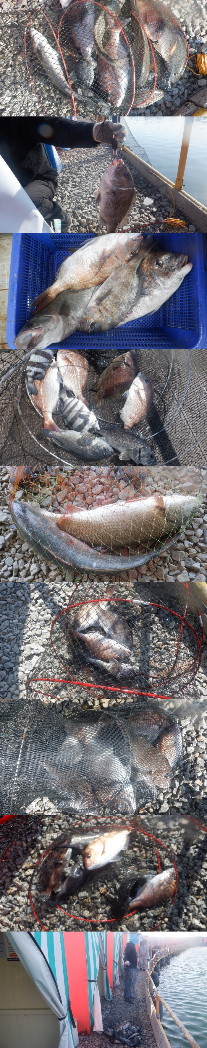 06eeae79b52b309d486460cb7491639f_1777103