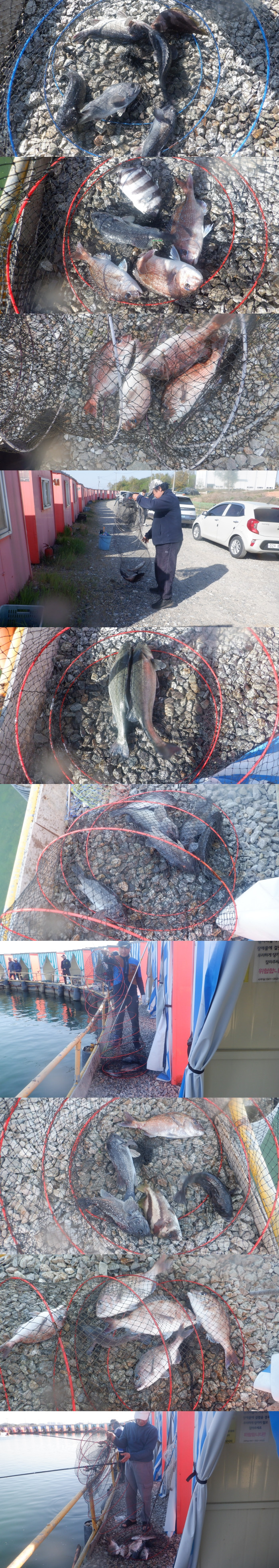 06eeae79b52b309d486460cb7491639f_1777190