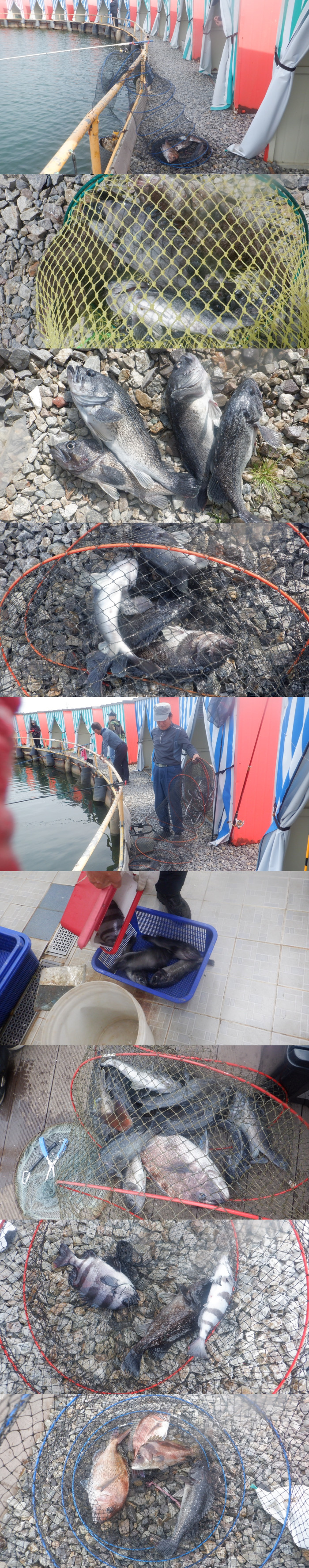 06eeae79b52b309d486460cb7491639f_1777449