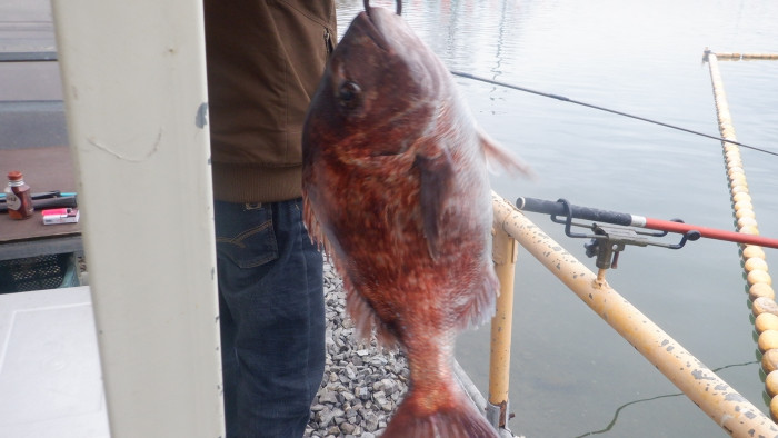 1ca09be6beb117098a7f683c7152157c_1775806