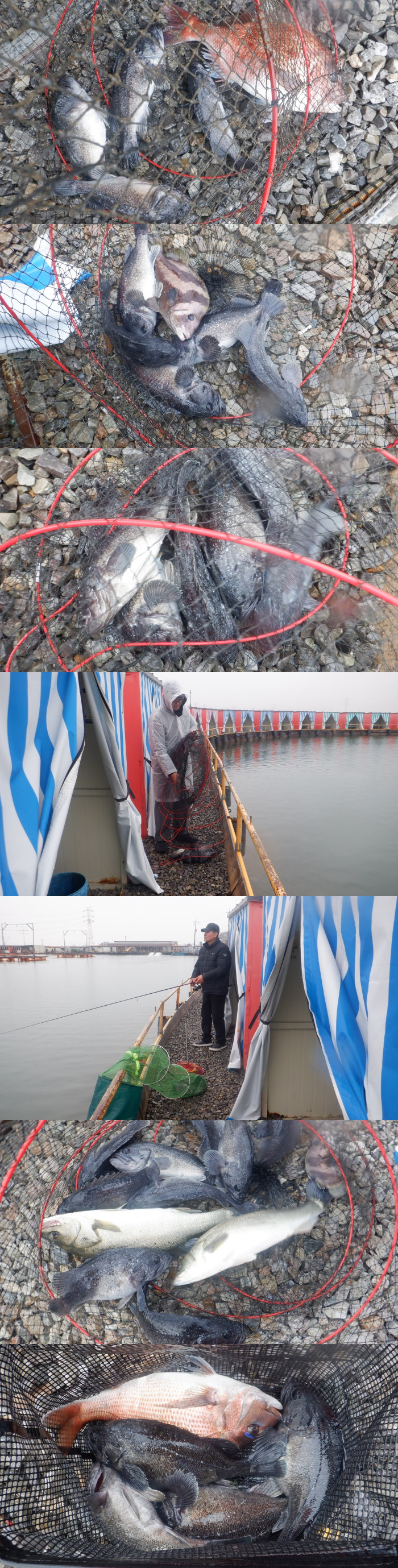 1ca09be6beb117098a7f683c7152157c_1775806