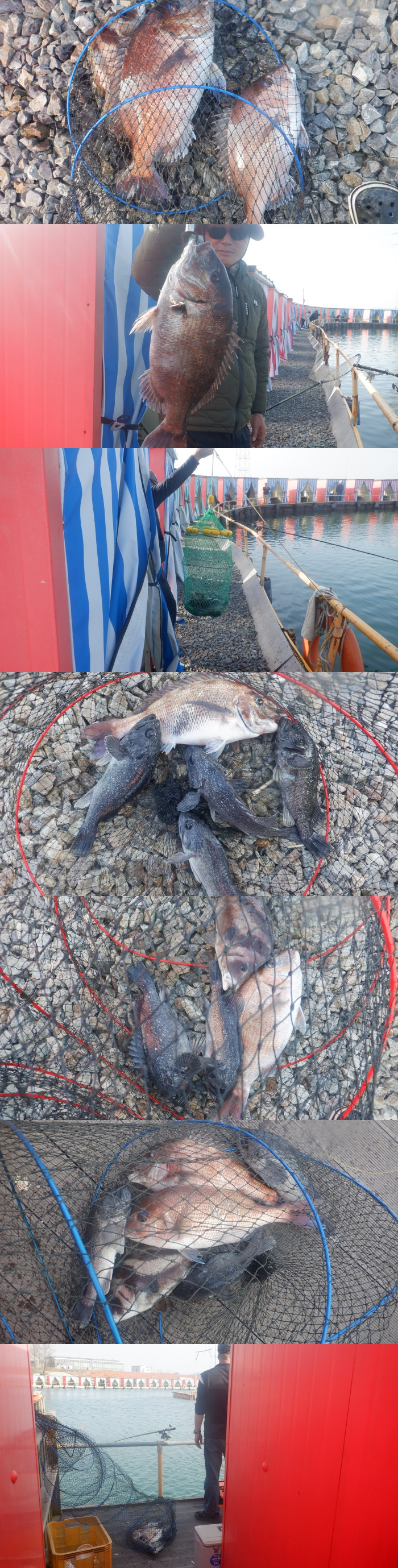 1ca09be6beb117098a7f683c7152157c_1775901