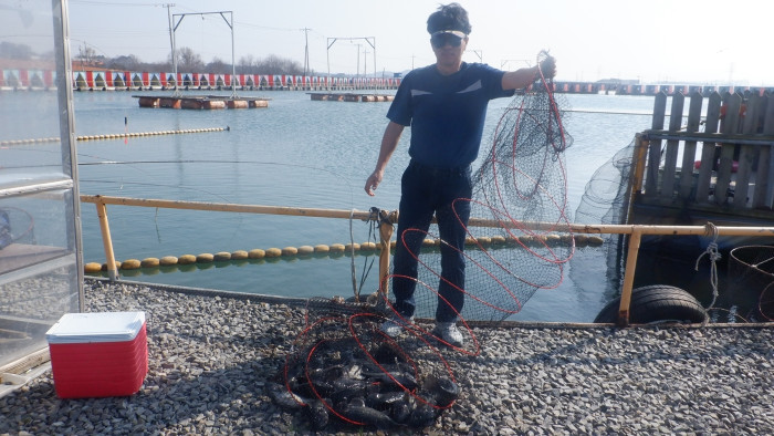 29dddf476a5ad32bd1ba39a4577617a1_1775376