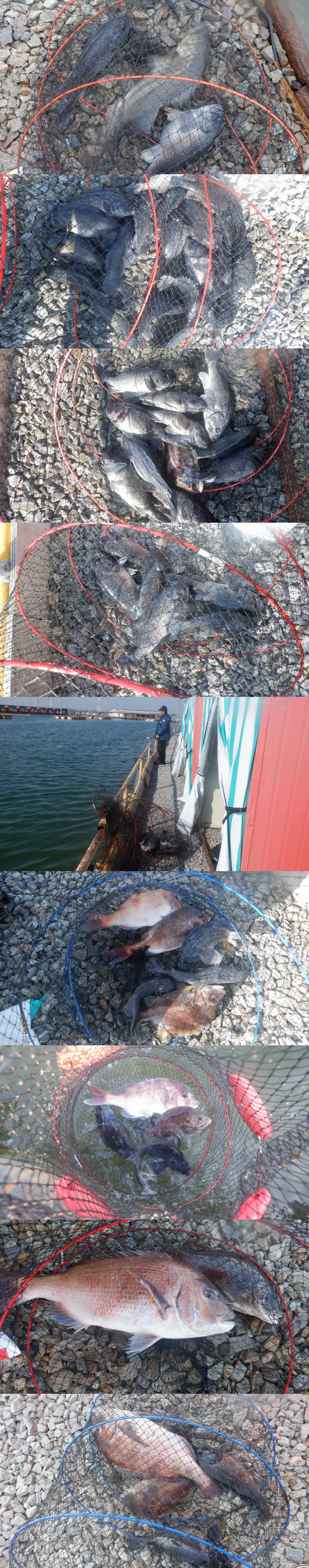 29dddf476a5ad32bd1ba39a4577617a1_1775376