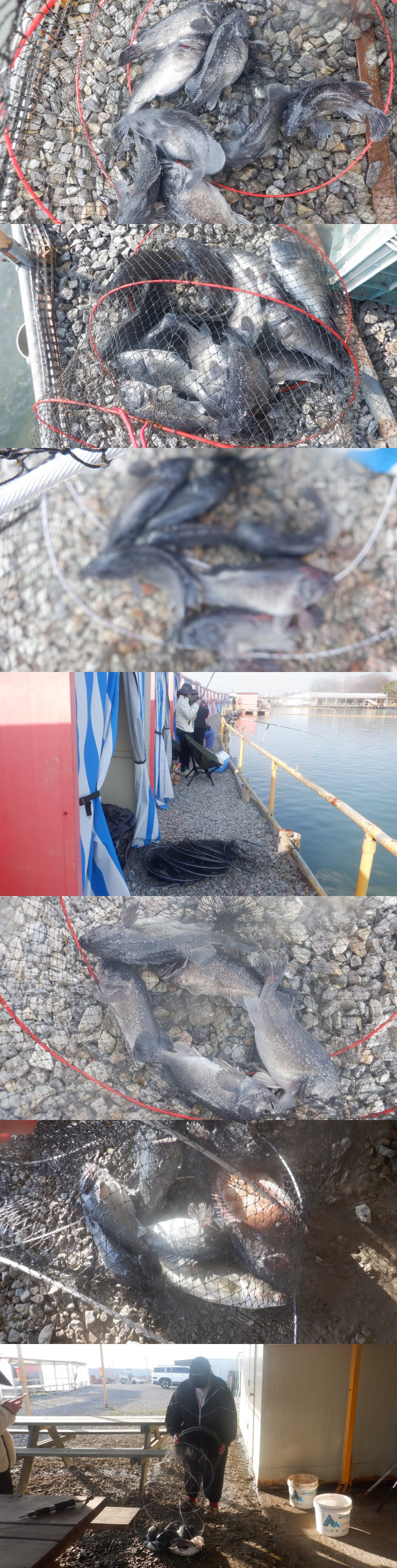 29dddf476a5ad32bd1ba39a4577617a1_1775472