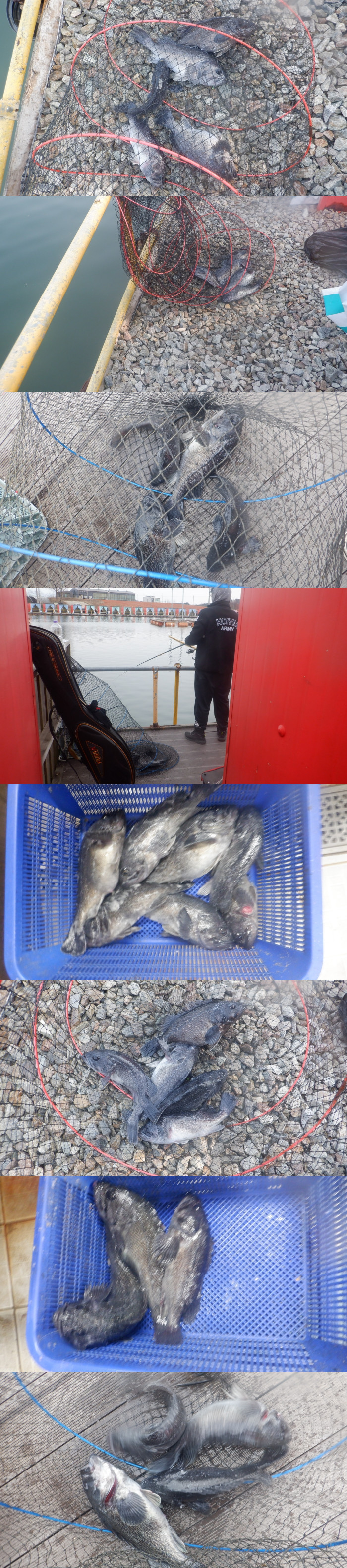 7d456aa7ff012cdc386ea3c791b33d83_1775086