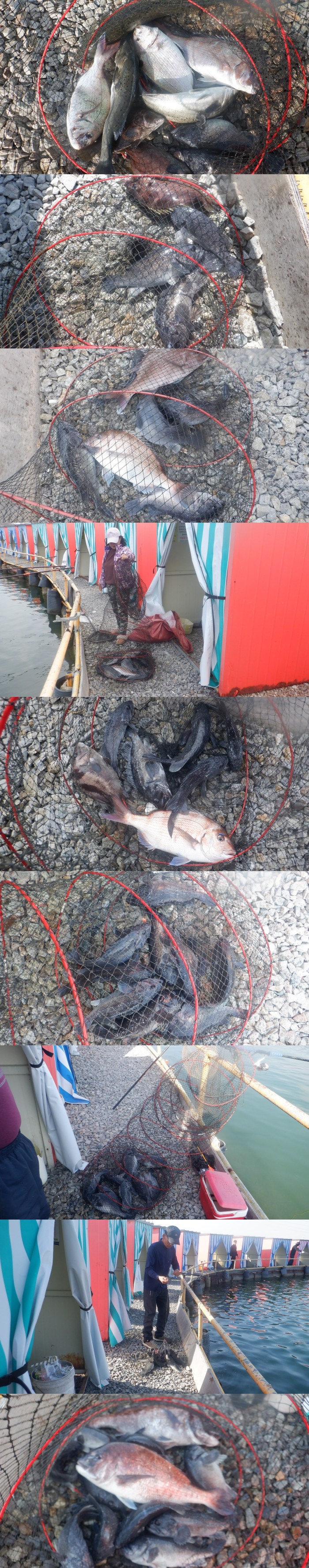 8a878ce0221eef512eec503051c49667_1776152