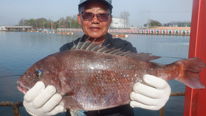 97c1cea49f8de066ce5c98e34f428ca5_1776504