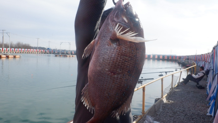 a59b17b4cbf2de8e6f22dfd599368679_1775984