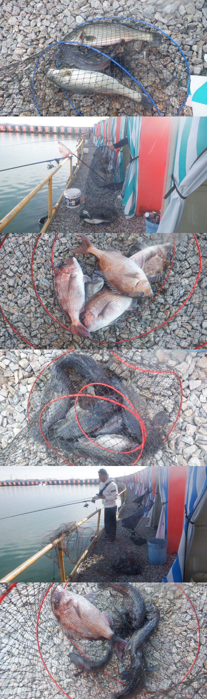 a59b17b4cbf2de8e6f22dfd599368679_1775984