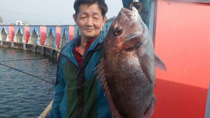 e8b417a0a88548bbe7ba17b18404e695_1777535