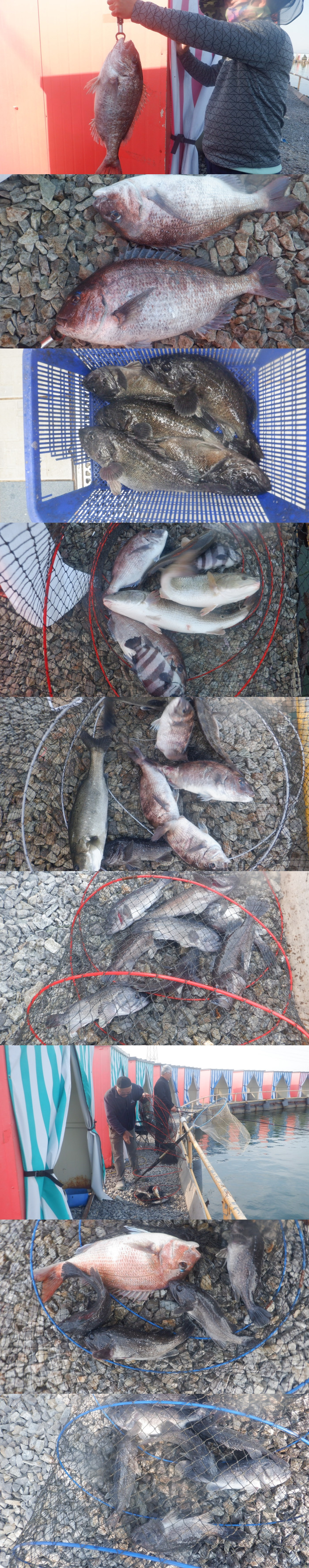 e8b417a0a88548bbe7ba17b18404e695_1777535