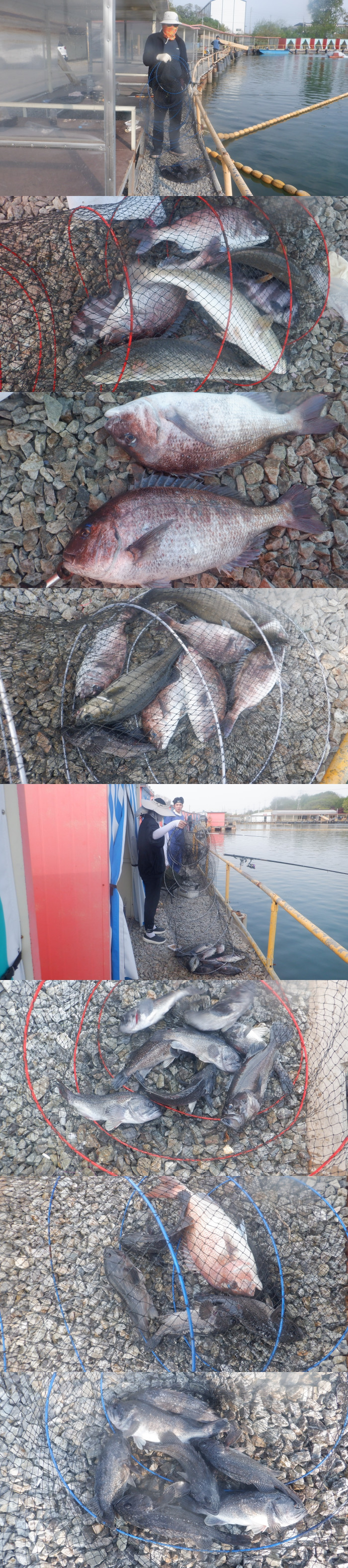 e8b417a0a88548bbe7ba17b18404e695_1777535