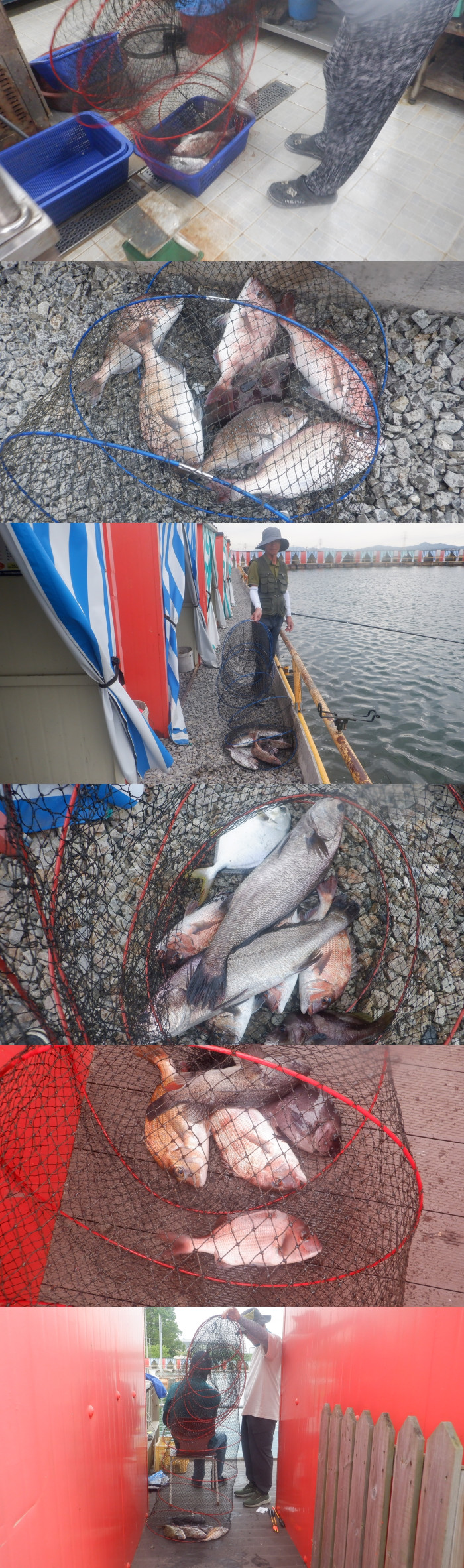 1af92bf87b75f9c147cf456ef89dc124_1780996